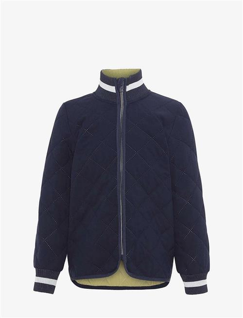 Molo | Husky | 92-98