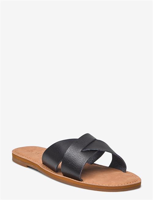 Roxy | Andreya | 37