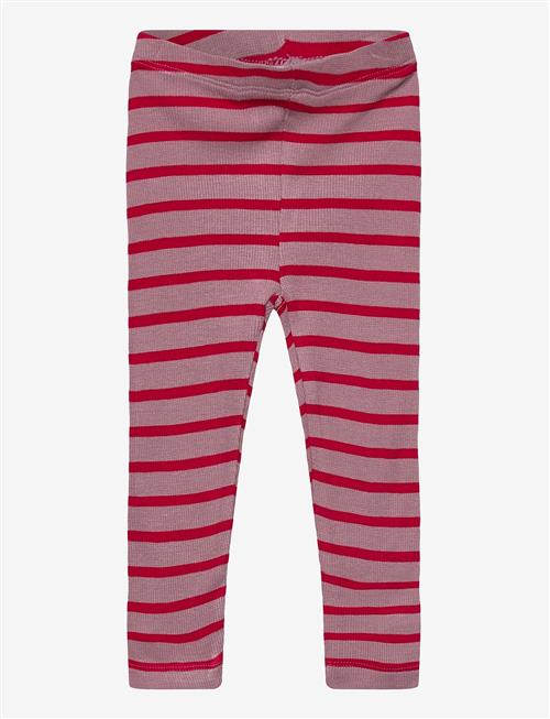 THE NEW SIBLINGS | Tnsbrie Rib Leggings | 68