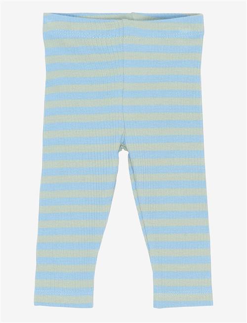 THE NEW SIBLINGS | Tnsbfro Rib Leggings | 74
