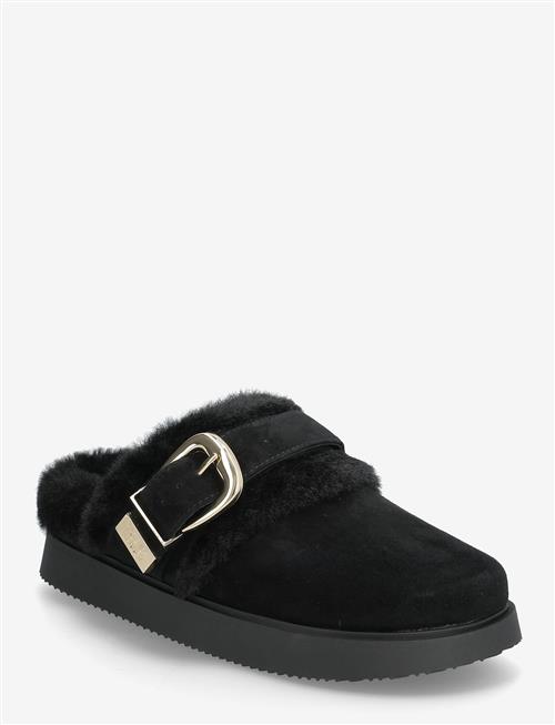 Steve Madden | Cozy Up | 37