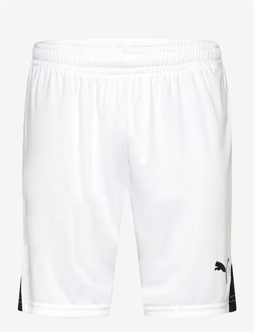 PUMA | Teamliga26 Shorts | L