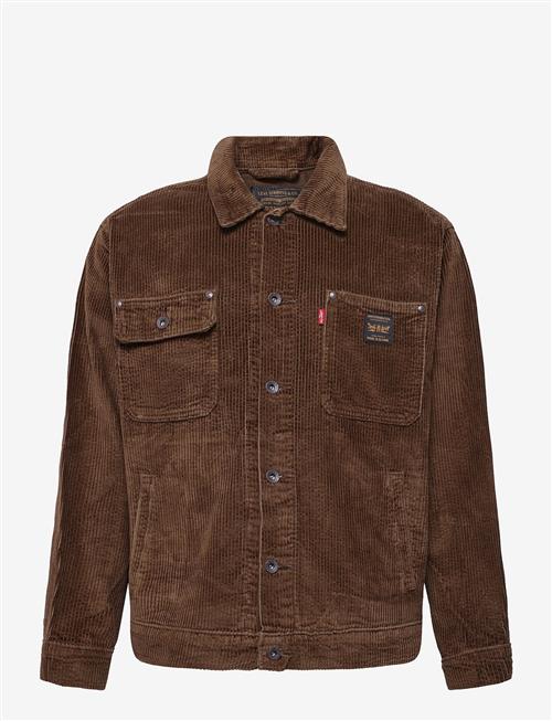 Levi's® | Sunrise Trucker Desert Palm Co | S