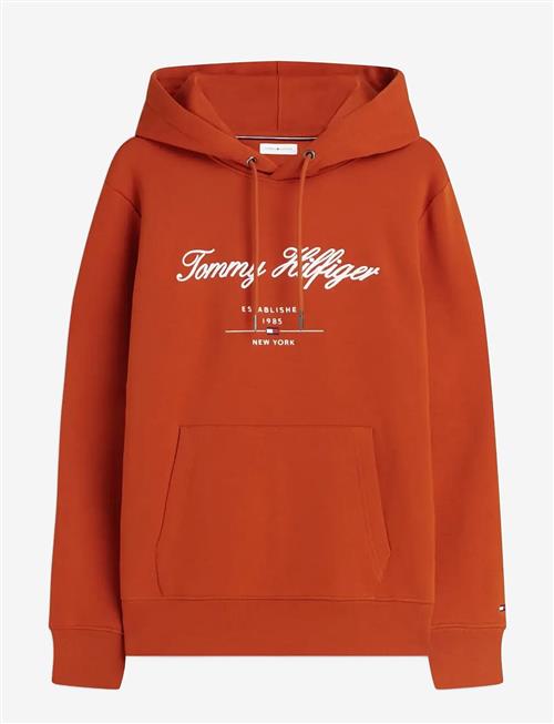 Tommy Hilfiger | Script Logo Hoody | M