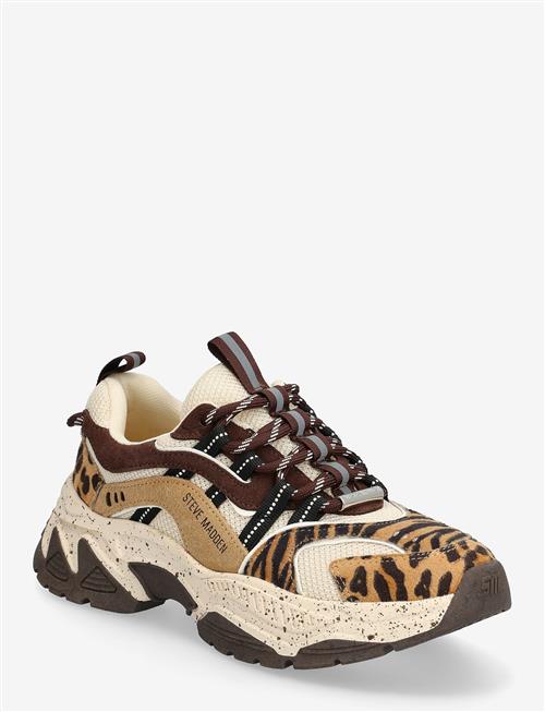 Steve Madden | Animates-Le | 37