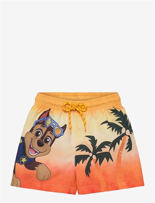 Paw Patrol | Swimwear | 116