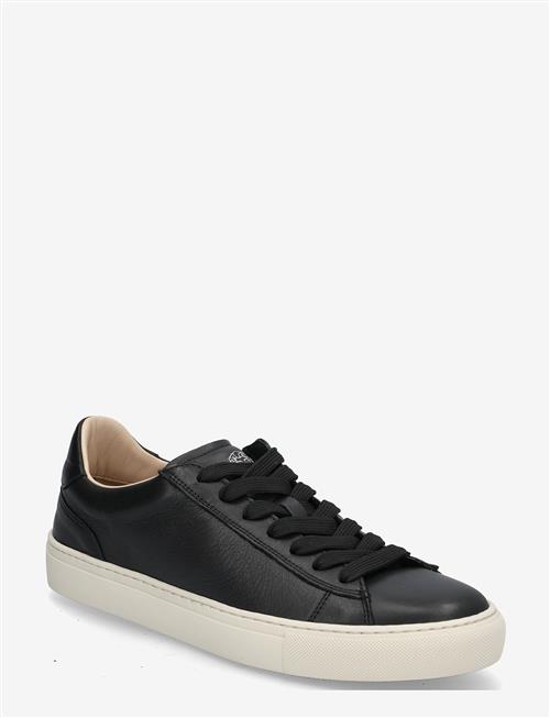 Sneaky Steve | Grand Black | 41