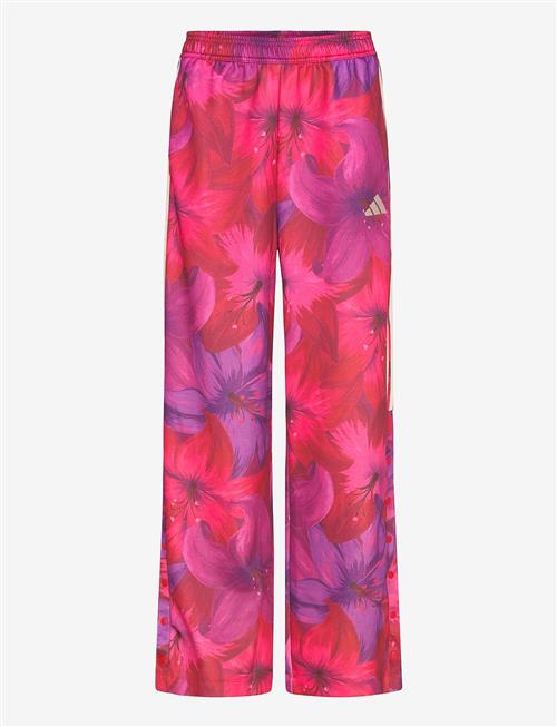 adidas Sportswear | Farm Tiro Tp | M