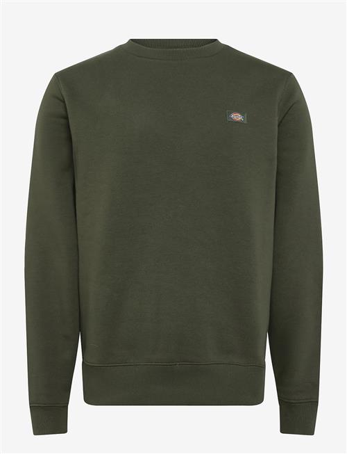 Dickies | Oakport Sweatshirt | XS