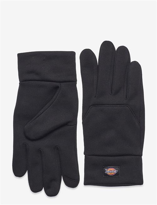 Dickies | Oakport Touch Glove | S/M