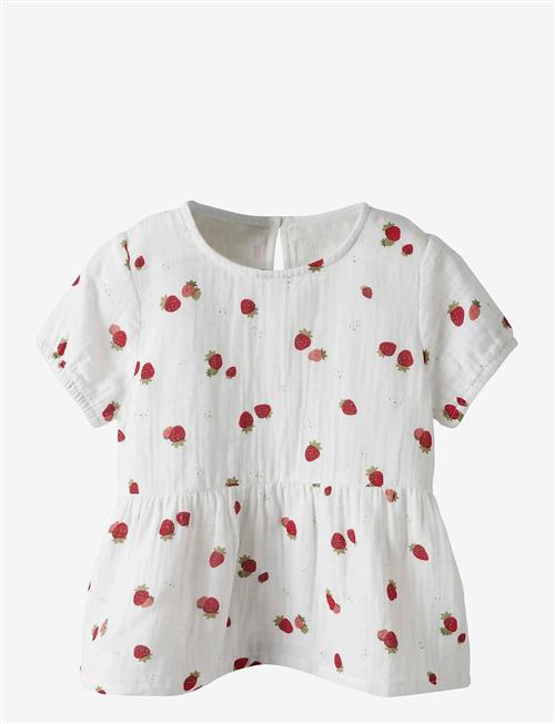 name it | Nmffornelia Ss Top | 92