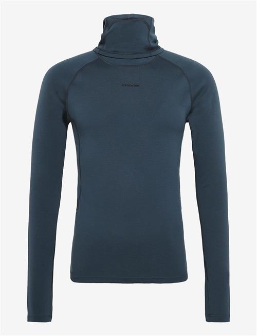 Icebreaker | M 300 Merinofine Polar Ls Roll Neck | M