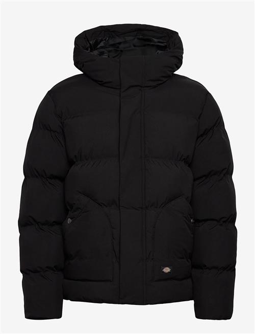 Dickies | Eagleville Hooded Puffer | L