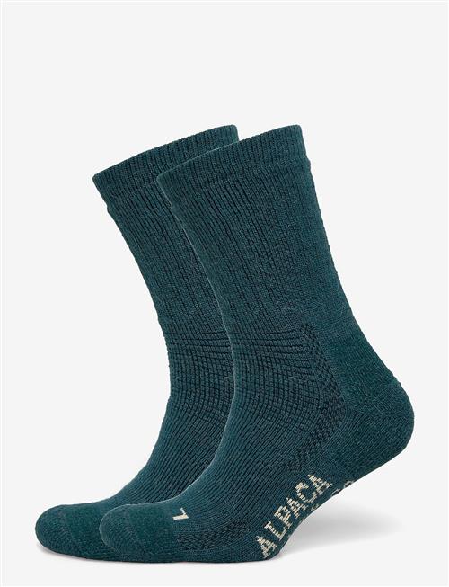 Alpacasocks&Co | Alpacasocks 2-Pack | 45-48