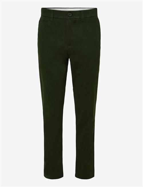 Knowledge Cotton Apparel | Chuck Regular Chino Pants | 28 x 34