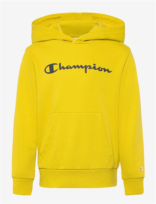 Champion | Hooded Sweatshirt | 176