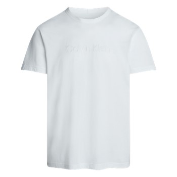 Calvin Klein 2P Logo Cotton Tee Hvid bomuld Medium Herre