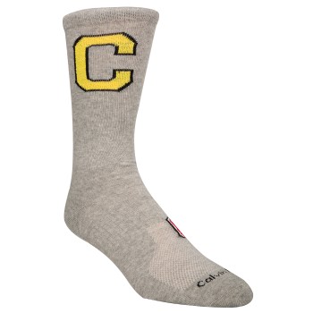 Calvin Klein Strømper 2P Omer Jeans Varsity Patch Socks Grå Str 40/46 Herre